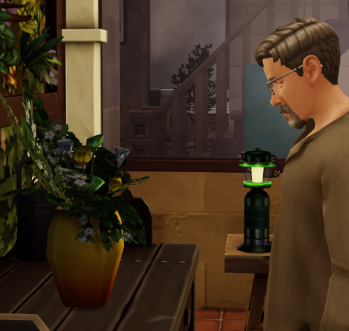 theageofsims
