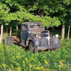 @1939-1947 Dodge Plymouth Fargo Trucks