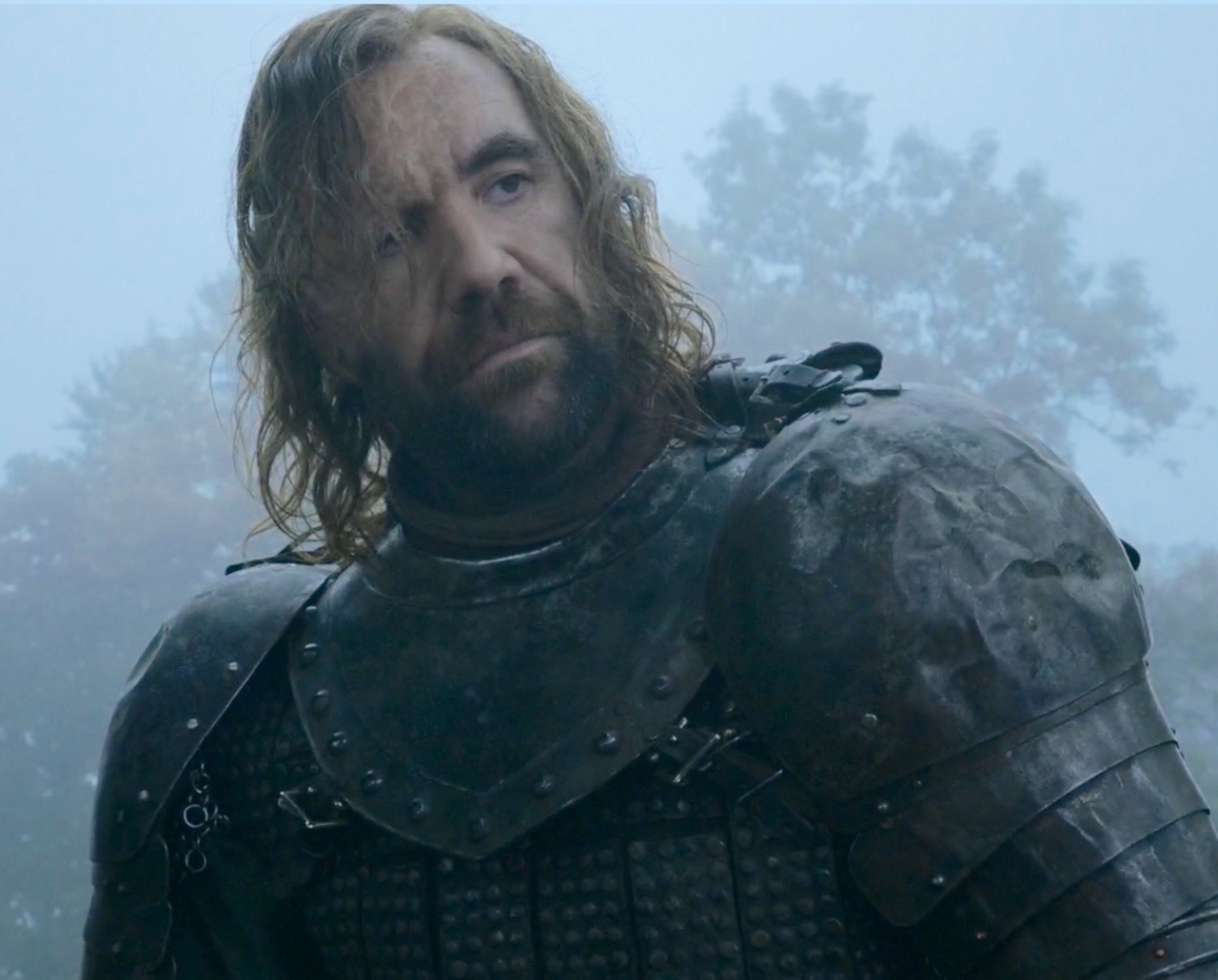 Sandor Clegane ASOIAF + GoT 2