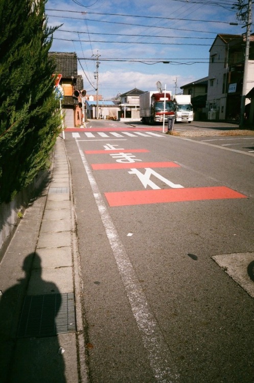 リアルに近所 光の良い日だった