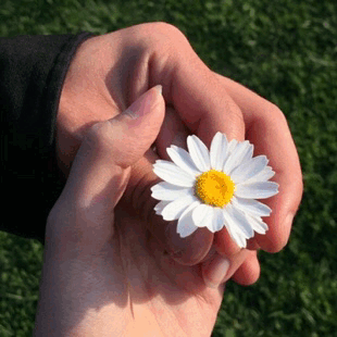 tumblr_p627eejq081vdv9jxo1_400.gifv