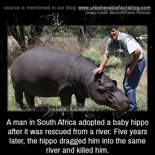 unbelievable-facts:A man in South Africa adopted a baby...