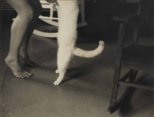 jimlovesart:Francesca Woodman - Self-portrait with cat, New...