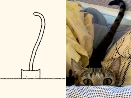 catasters