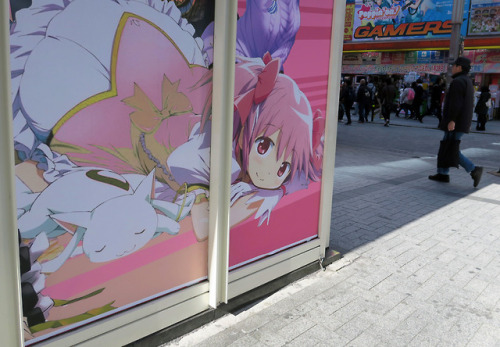 Madoka ,Akihabara