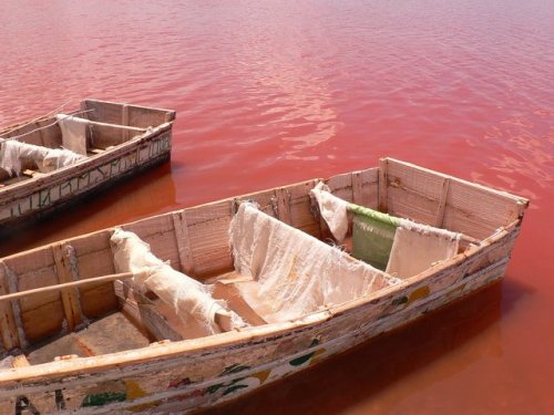 jeflondon:Lake Retba, Senegal