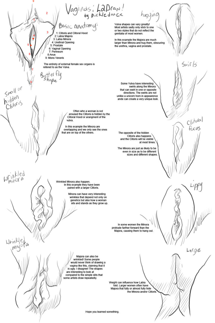 How To Draw A Pussy 120