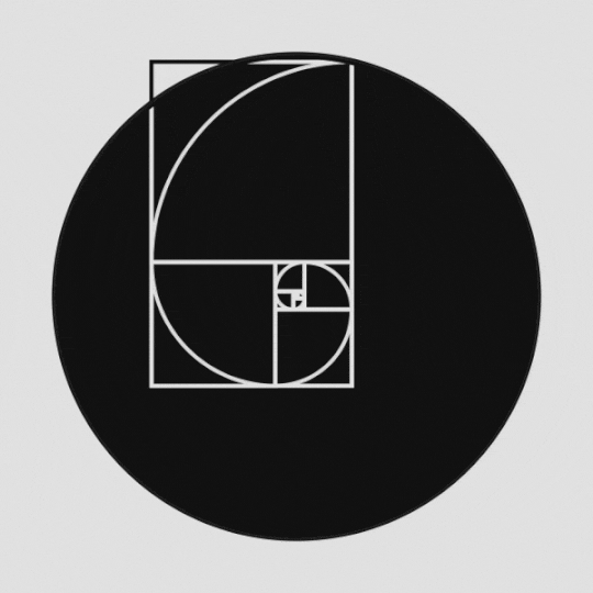 Aesthetic Fibonacci Mathematical Gif