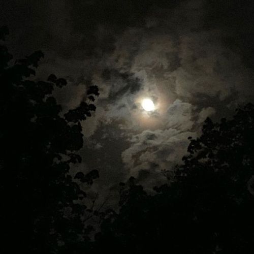 rivernixie:Basking in the light of the full moon #bluemoon...