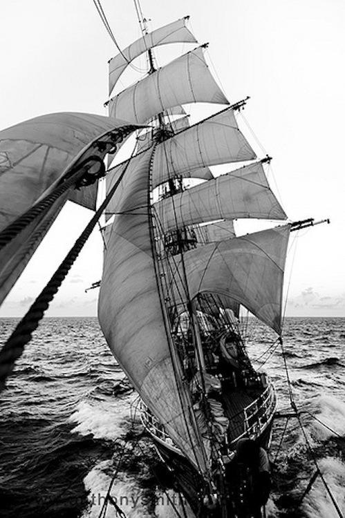oledavyjones:
“shot from the bowsprit up along the stays , showing the foresails and the focsle of an unknown vessel
”
