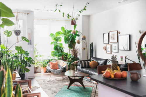 thenordroom:Plant-filled apartment with pink bedroom | photos...