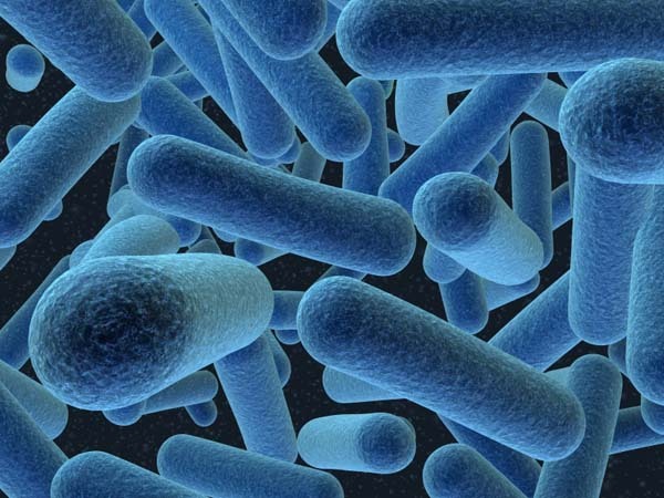 Superbactérias, uma guerra perdida?