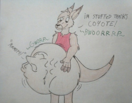 kangaroo stomach belly digestion gurgles slosh blorp glorp