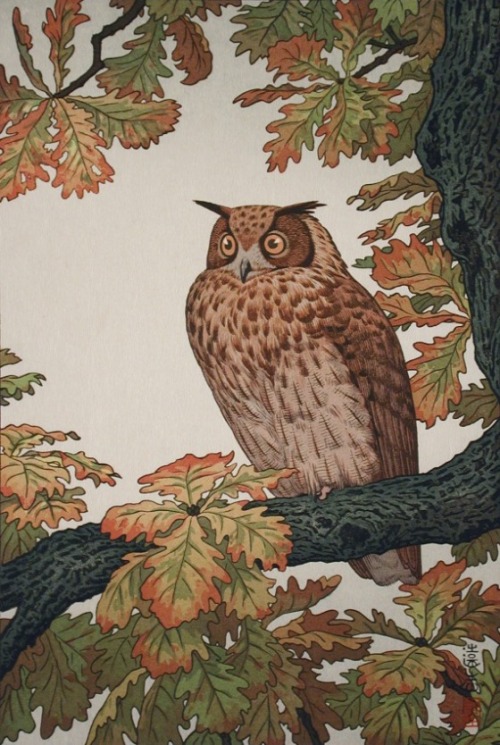 aleyma:Yoshida Toshi, Eagle Owl, 1968 (source).