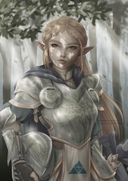 kumanz:Armored Zelda~I wanted to paint her breath of the wild...