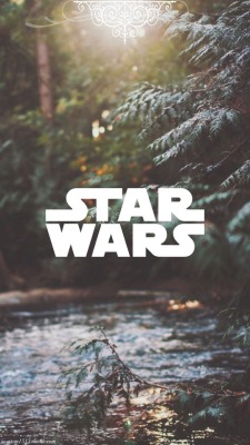 Star Wars Ep 8 Tumblr