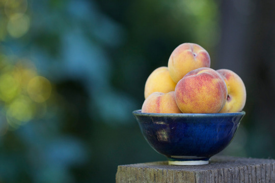 Bowl of Frost Peaches