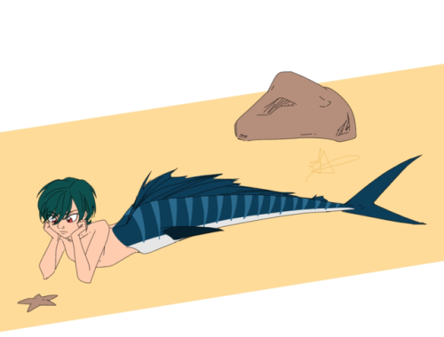 ask-mermen-rinharu:the only time a mer-sailfish’s dorsal fin is...