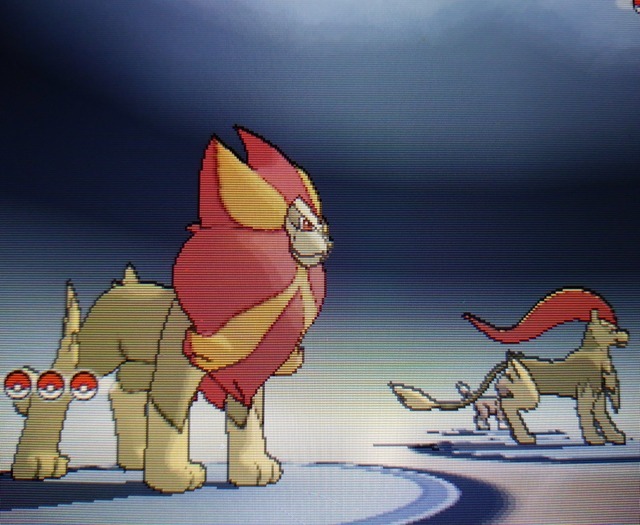 Shiny Hunting, Oh my gosh, Shiny Litleo!! This is by far my...
