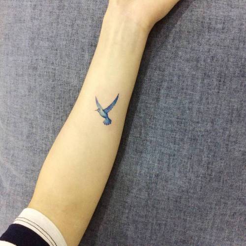 bluebird tattoos bluebird tattoos