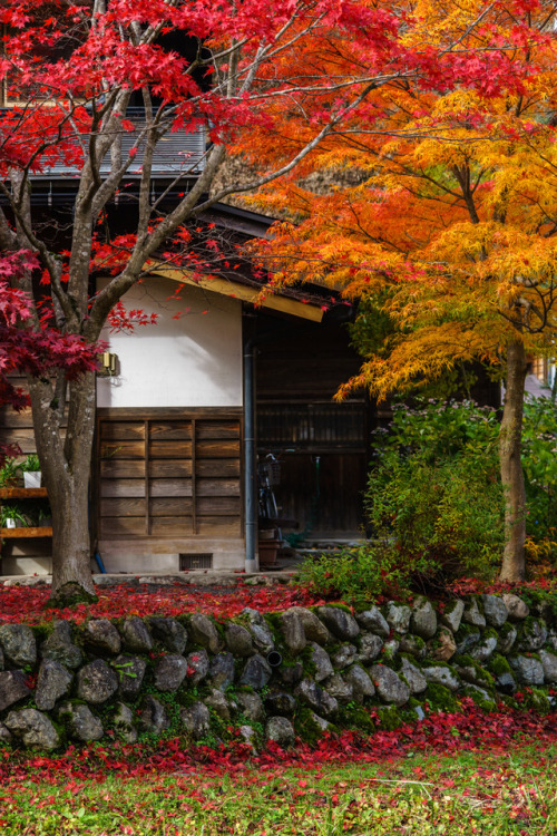 gezzaseyes:Autumn in Shirakawago