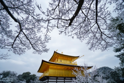 chitaka45:京都 金閣寺 ❄️雪景色❄️2018.1.14kyoto kinkakuji 14.1.2018