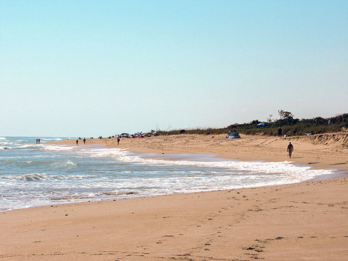 blindcreek-beach-florida:This is Blind Creek Nude Beach, on...