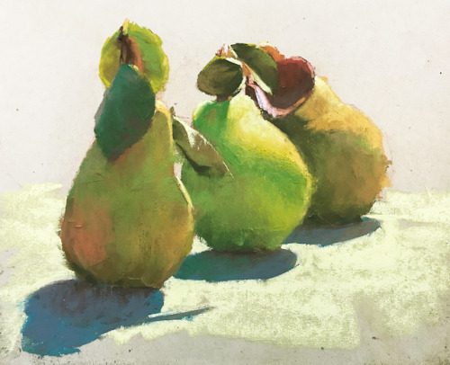 ethandeanart:Some pears :)