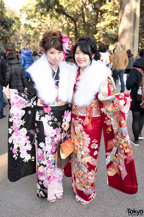 Japan in a day