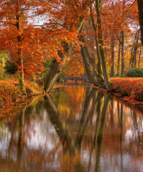 opticxllyaroused:Autumn by Martin PodtAutumn at its best. In...