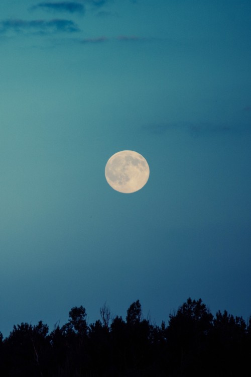 full moon on Tumblr