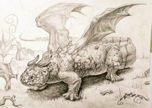 heavy dragon