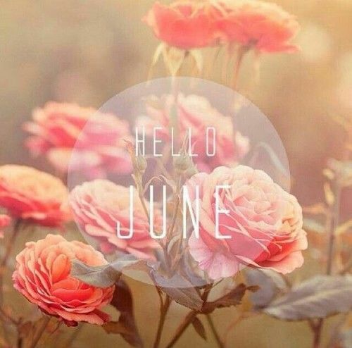 welcome june on Tumblr