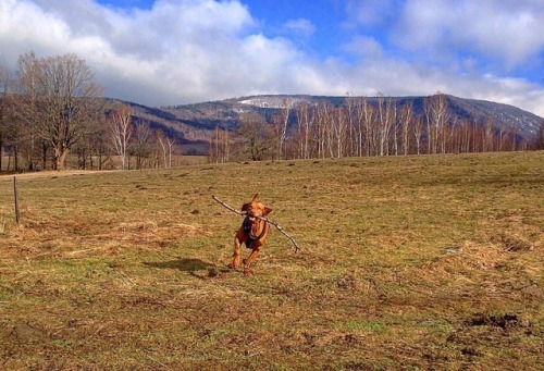 FLASH AND GO #flash #go #run #running #sunny #sky #bluesky...