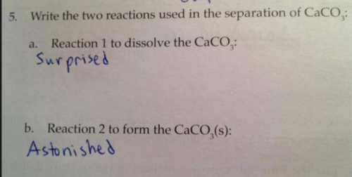 base log 2 javascript math exam answer   funny Tumblr