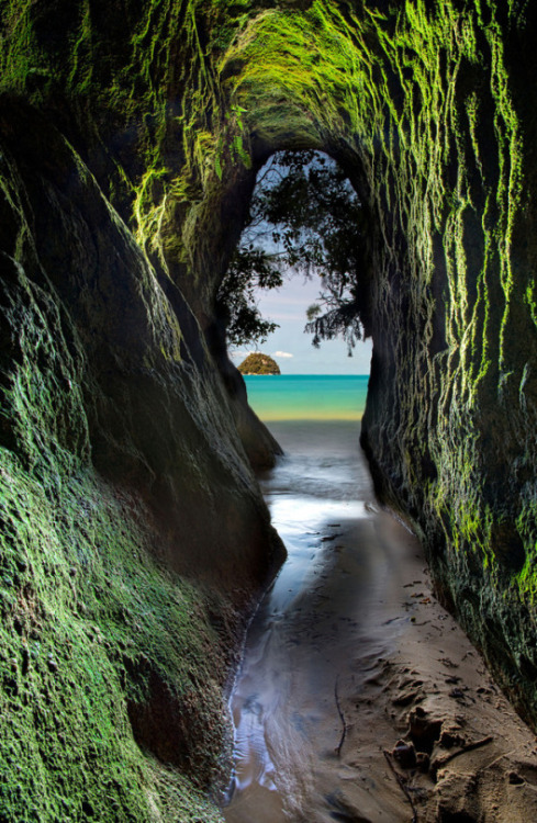 travelingpage: Abel Tasman National Park, New Zealand | ...