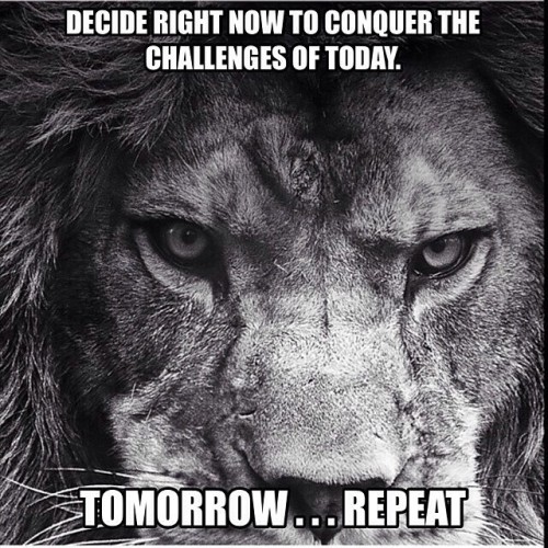 barbellswag: