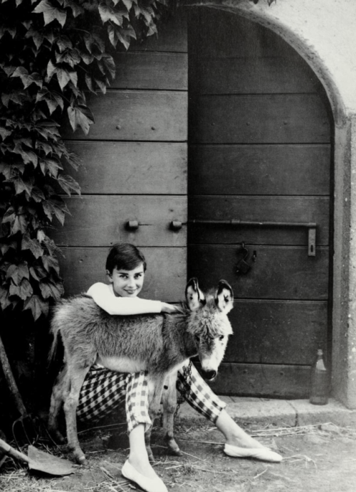 yesterdaysprint:Audrey Hepburn, near Rome while filming War and...