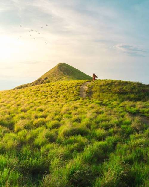 Sumbawa  Tumblr