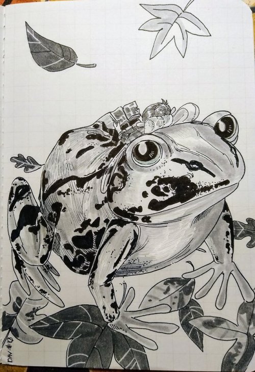 Day 10 with a frog friend