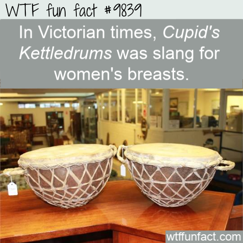 Amazing Random Fact: In Victorian times, Cupid’s Kettledrums was slang for women’s breasts. 