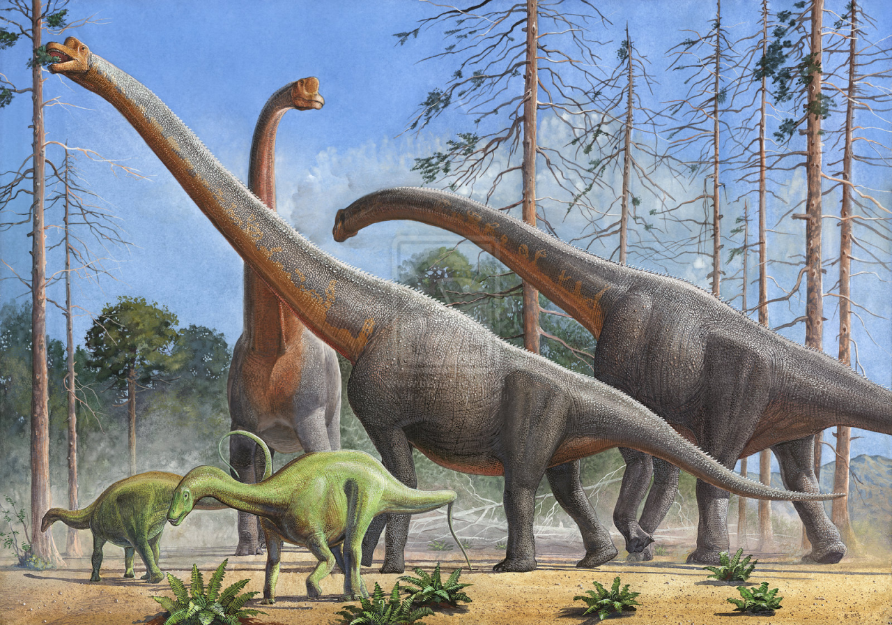 A Dinosaur A Day · Giraffatitan brancai