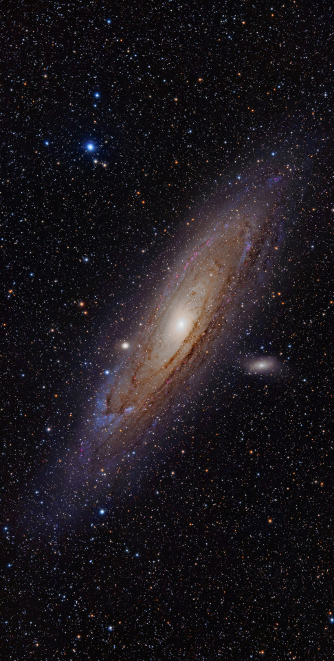 astronomicalwonders: The Great Andromeda Galaxy...