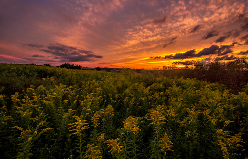 garettphotography:“Nature is painting for us, day after day,...