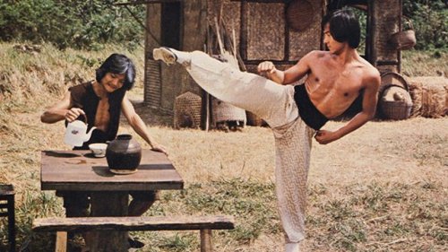 the36thbloggerofshaolin:Snake Deadly Act (1980)