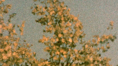 a-quiet-life:1977, Kodak 160G Super 8 film (expired) 