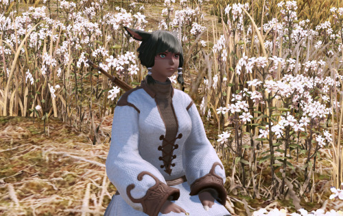 sarenhale