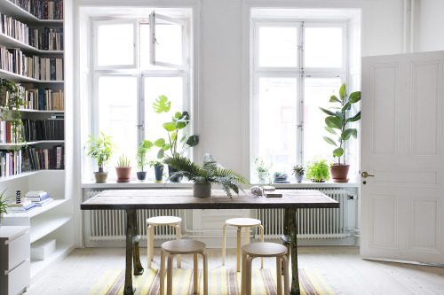 Scandinavian Interiors