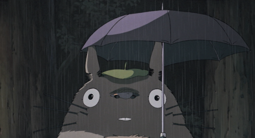 totoro on Tumblr