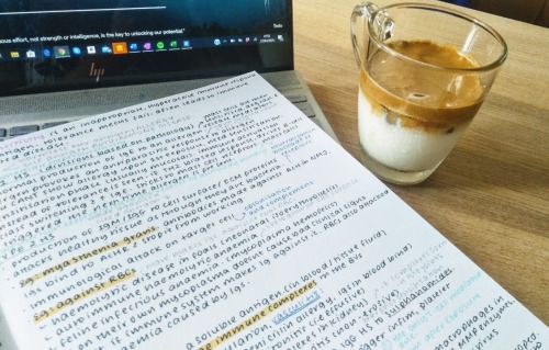 studywithyashu
